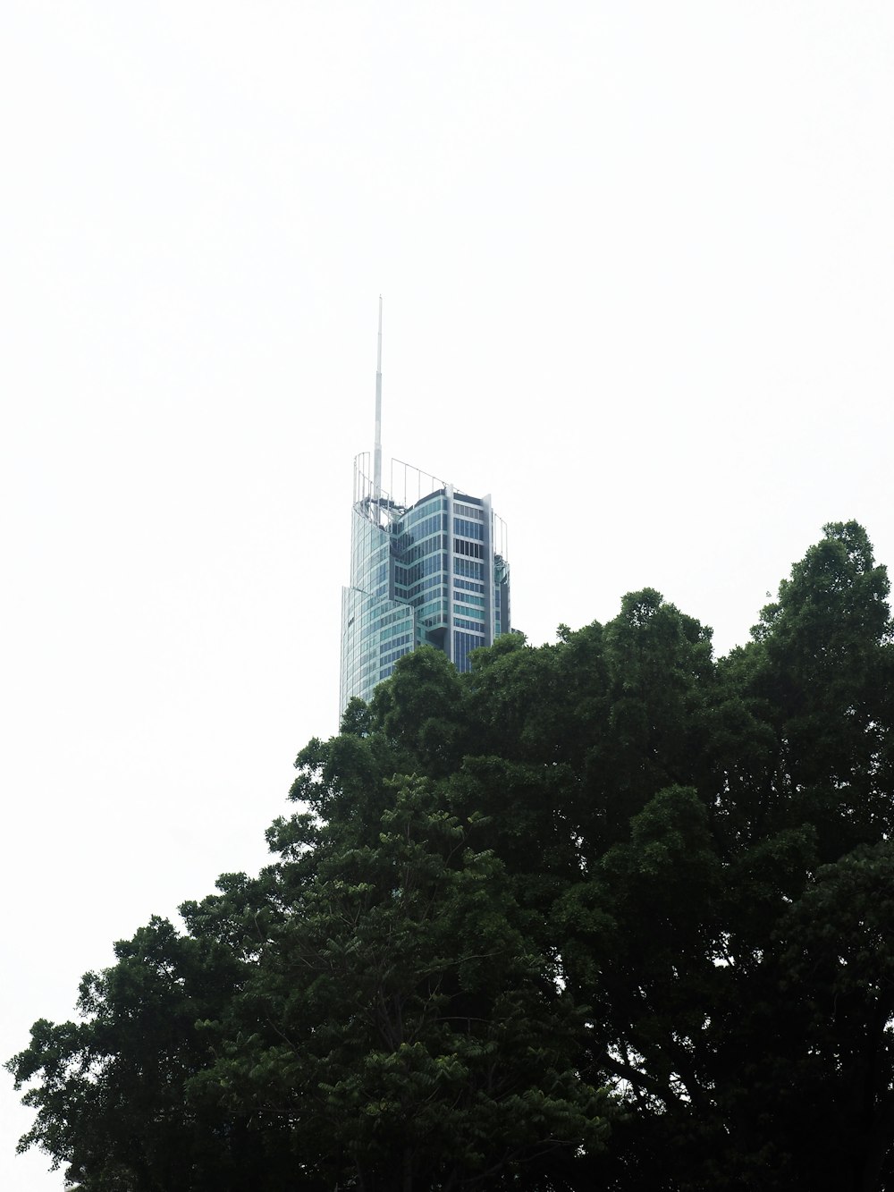 blue glass walled high-rise building near trees