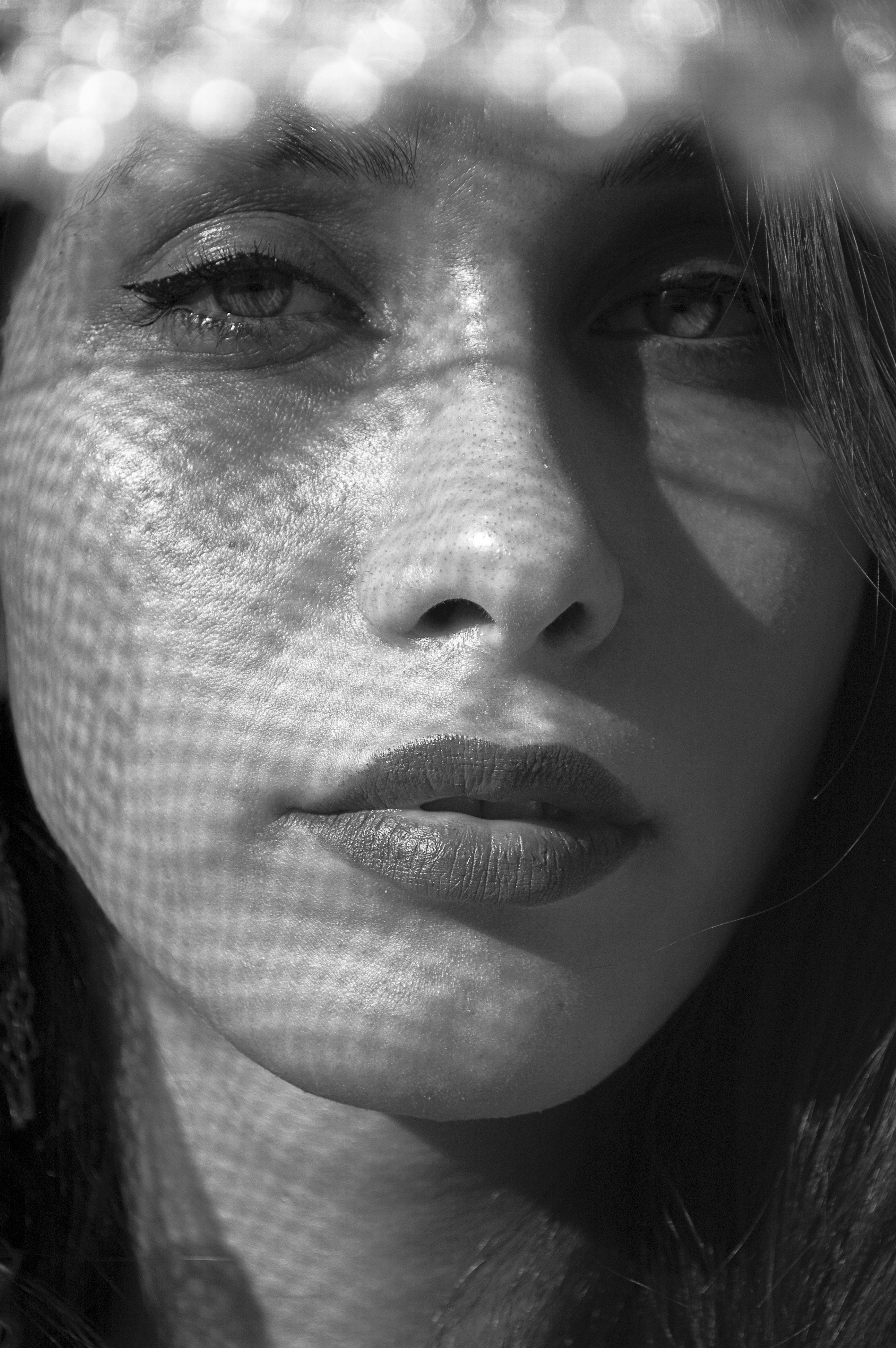 Photo by baranlotfollahi