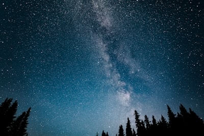 forest trees asteroid zoom background