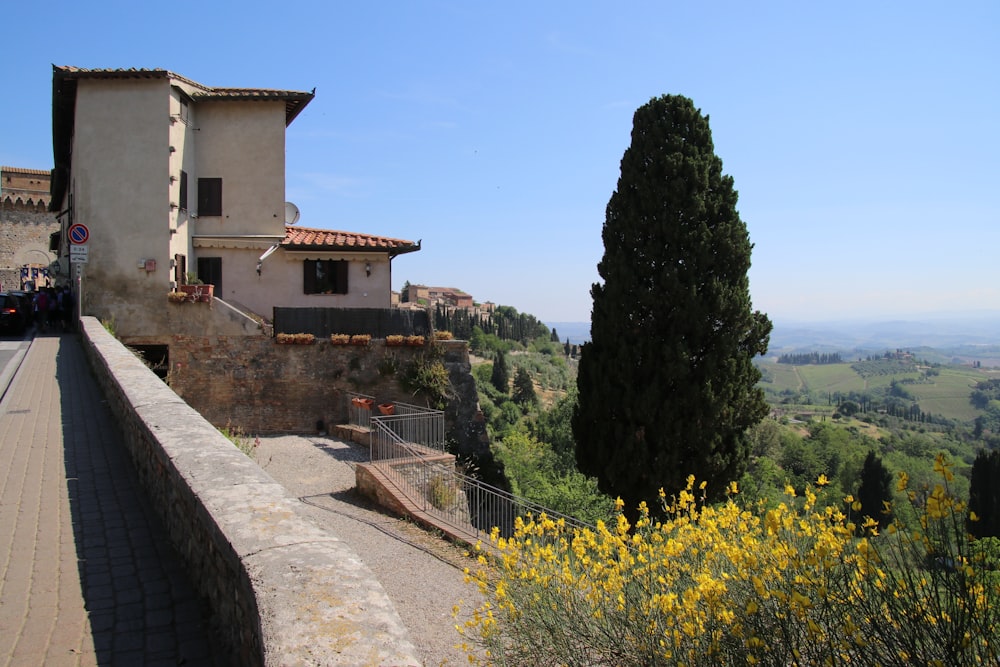 fotografia architettonica della casa bianca e marrone