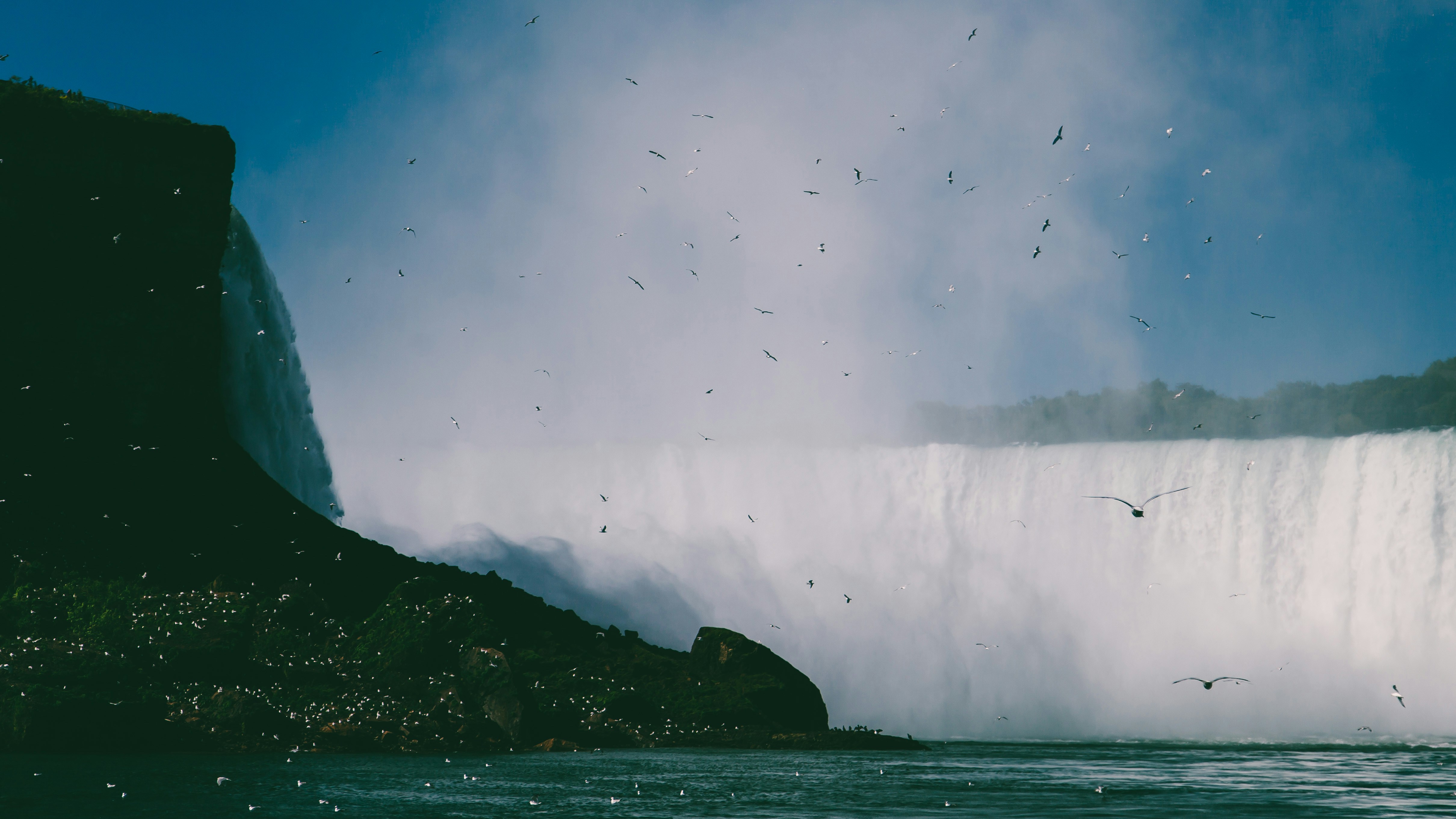 Photo by plasticmind