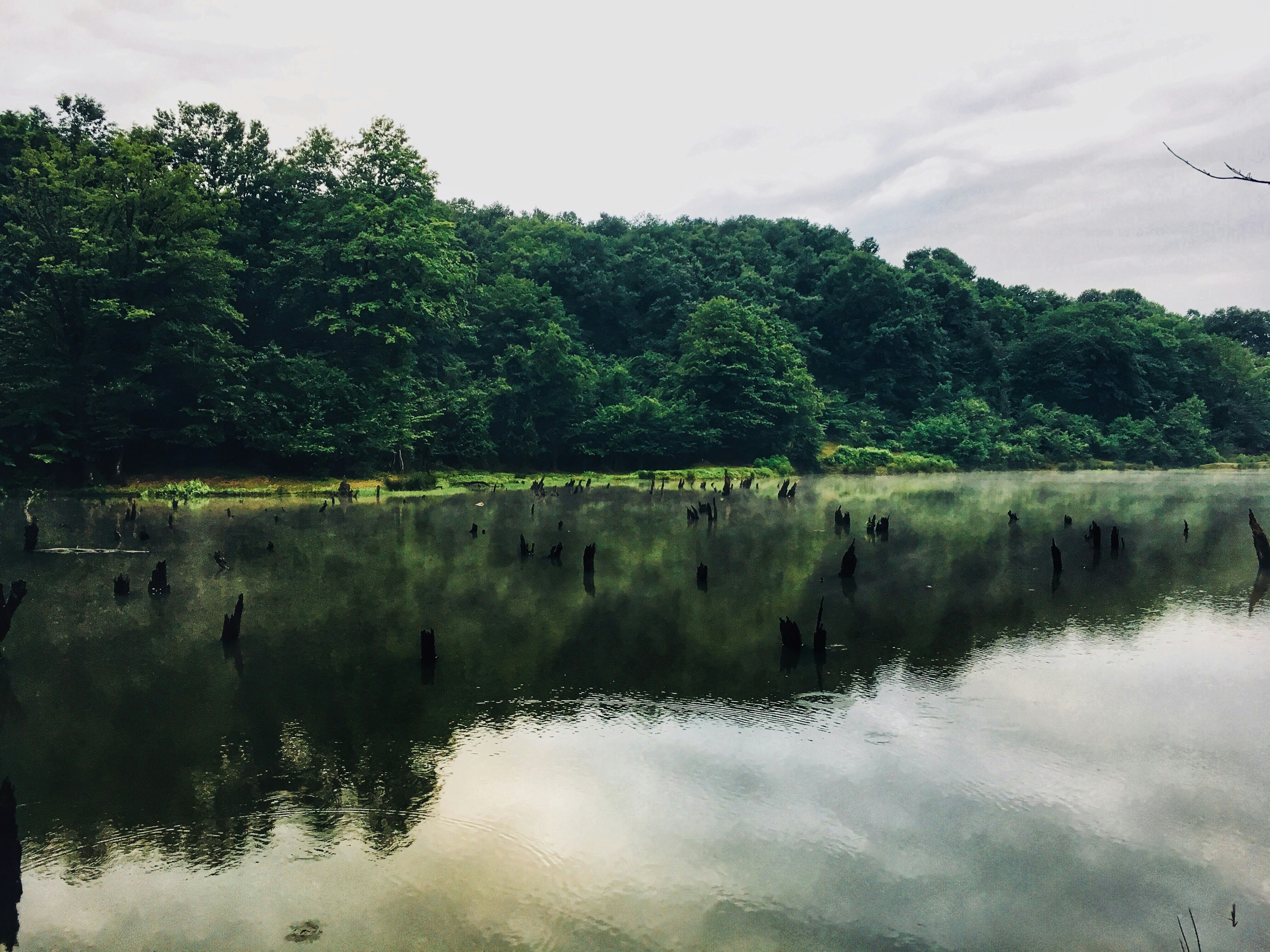 Photo by mr_yahyapour