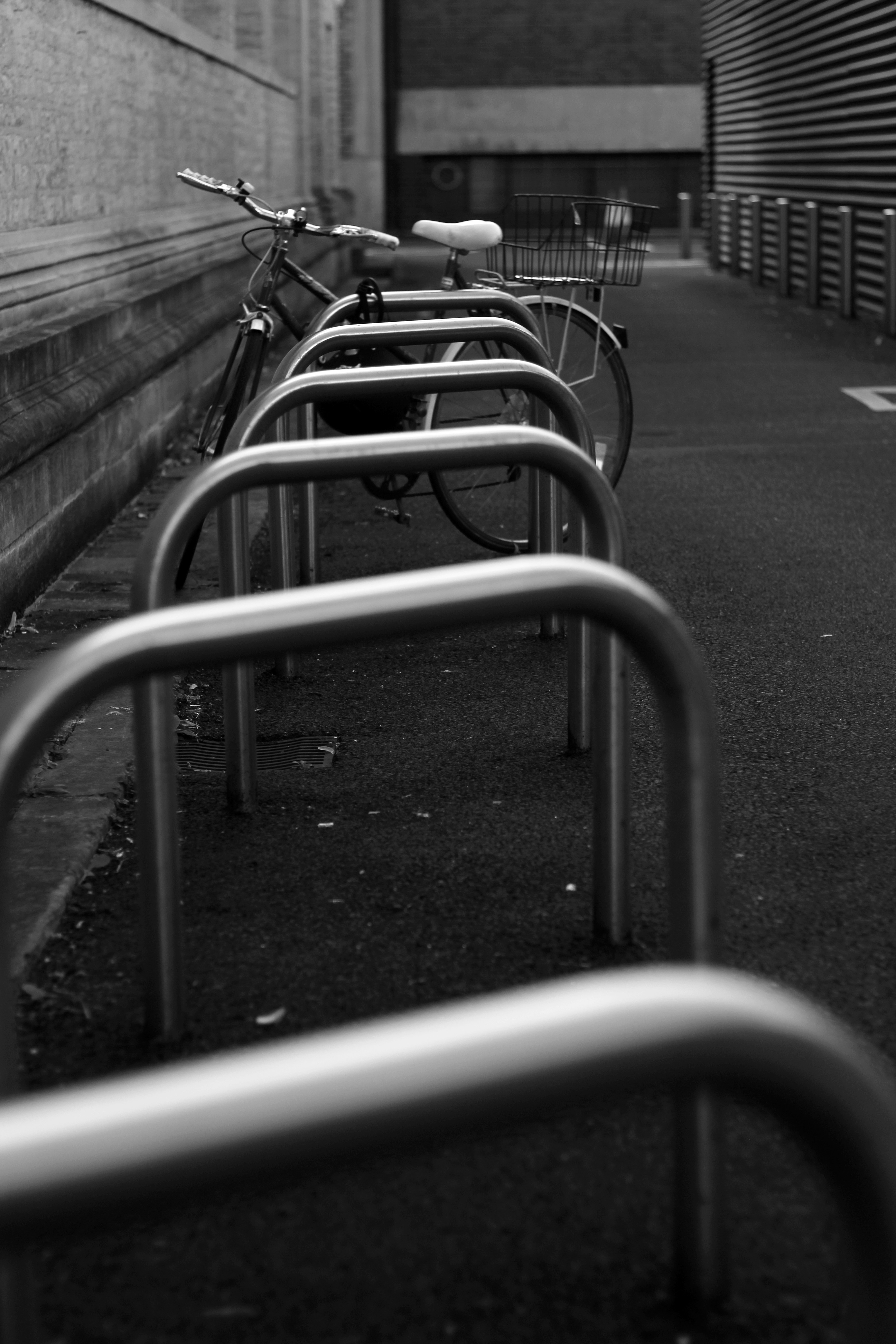 Photo by metinozer