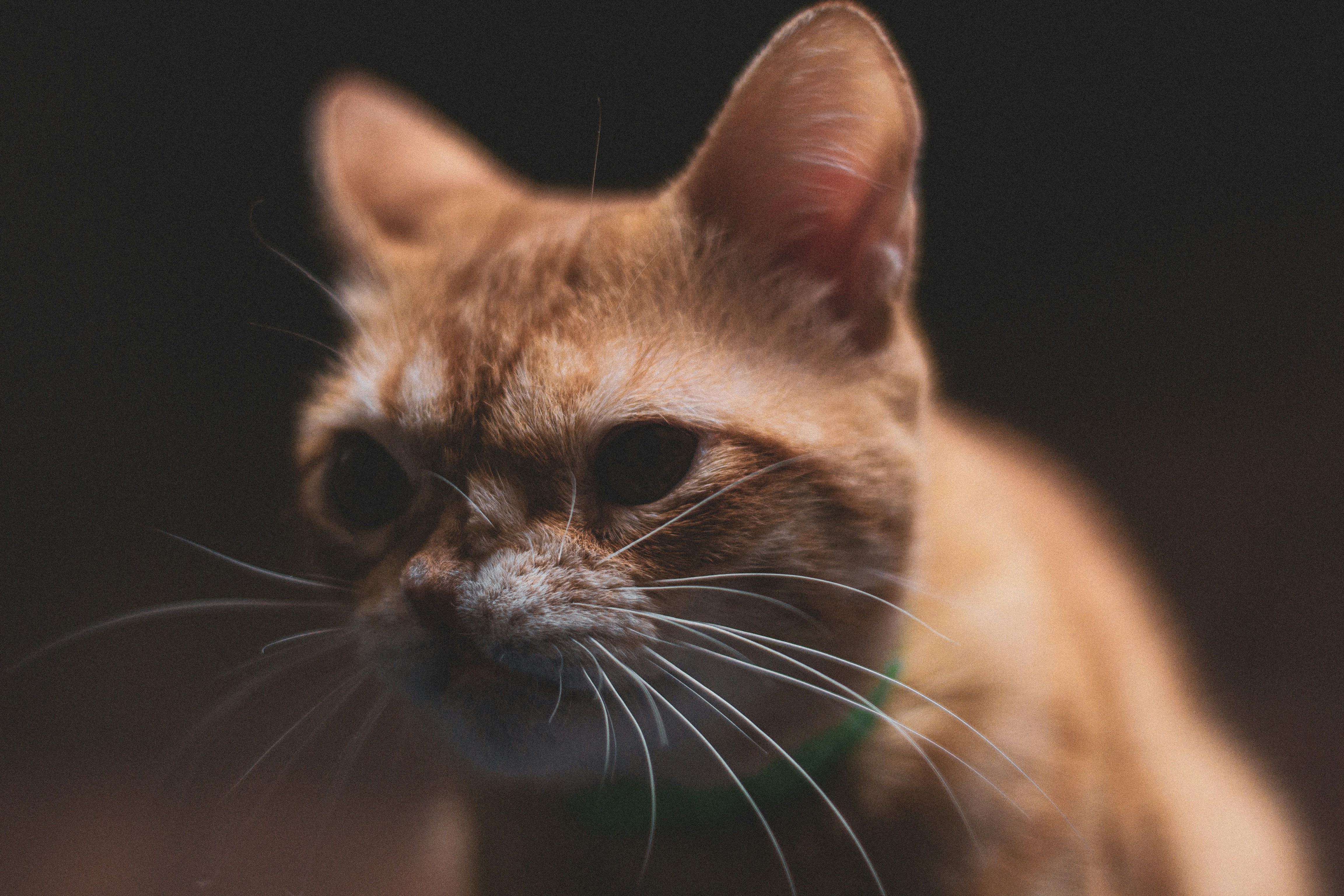 Photo by agustinfernandez