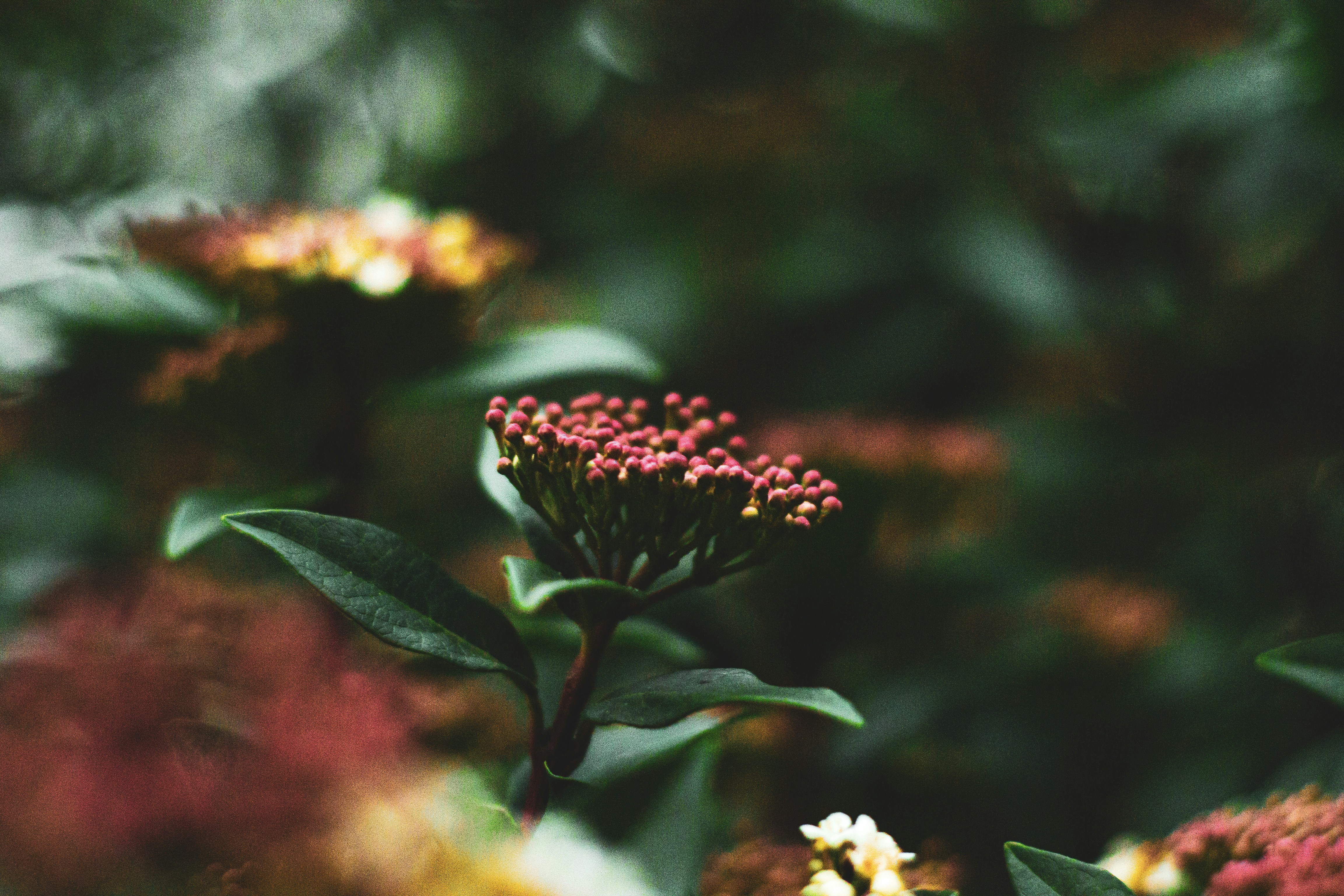 Photo by agustinfernandez