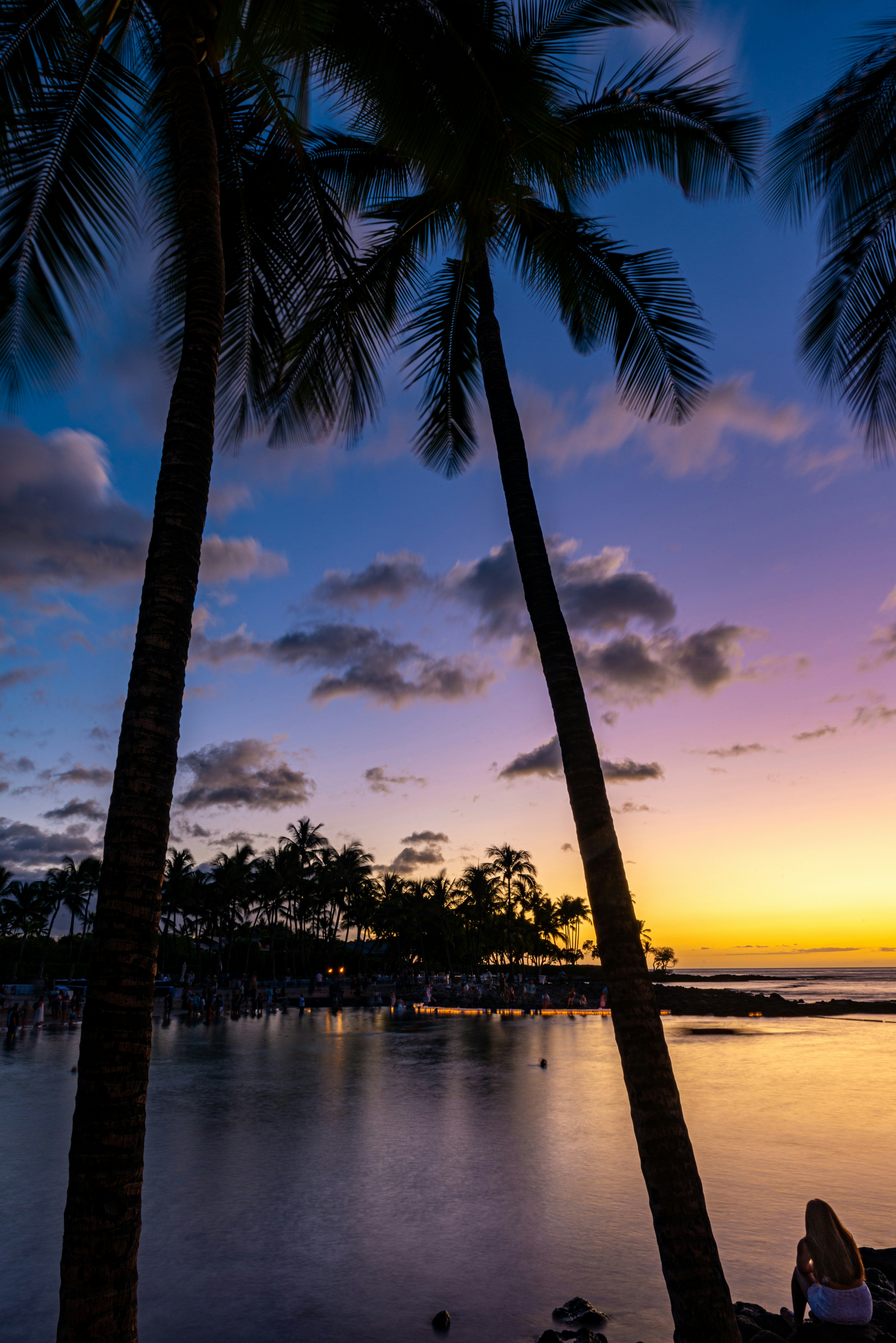 silhouette of palm trees during daytime