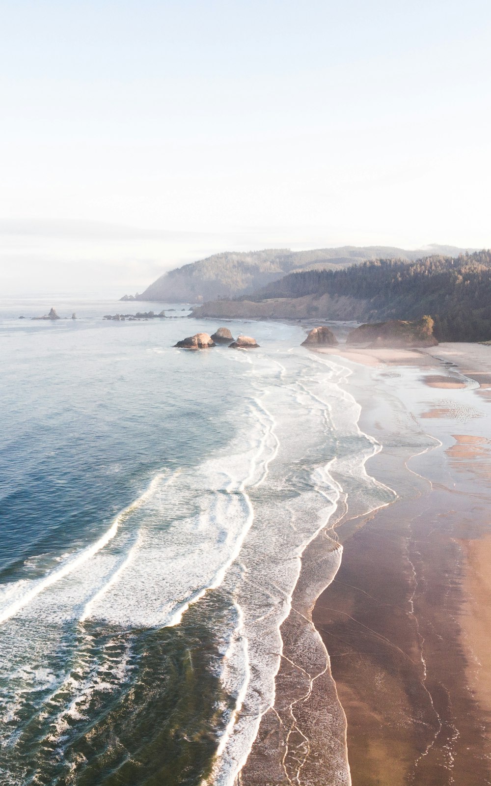 aerial photo of seashore during daytime