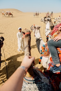 person on front of camel
