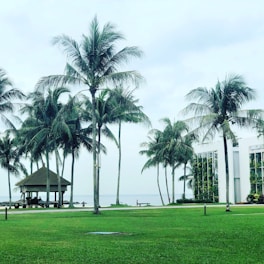 A professional portrait of Gwendolyn Bilboat standing by a Palm Coast waterfront home with palm trees and bright coastal sunlight.
