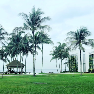 A professional portrait of Gwendolyn Bilboat standing by a Palm Coast waterfront home with palm trees and bright coastal sunlight.