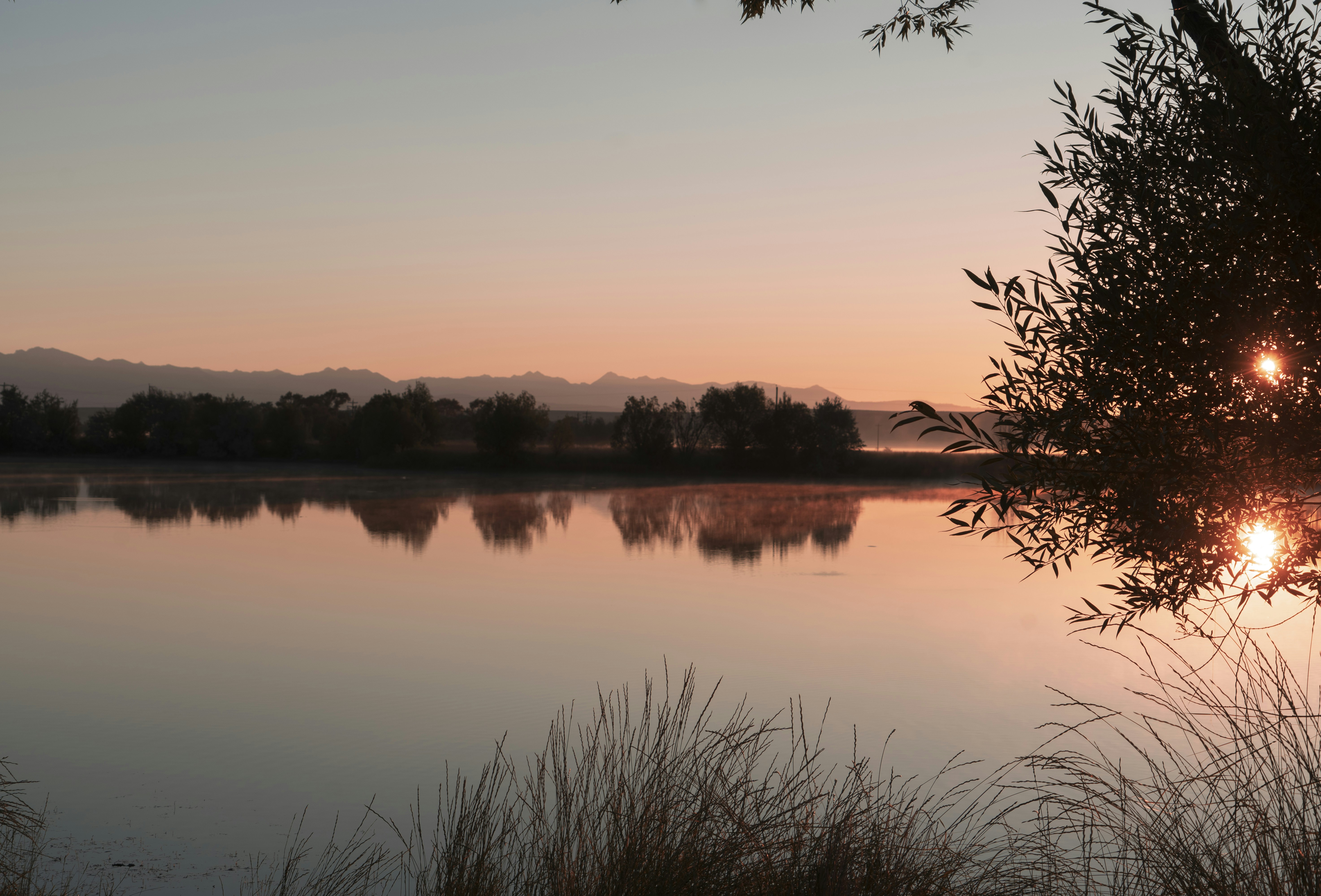 Steam rising at sunrise