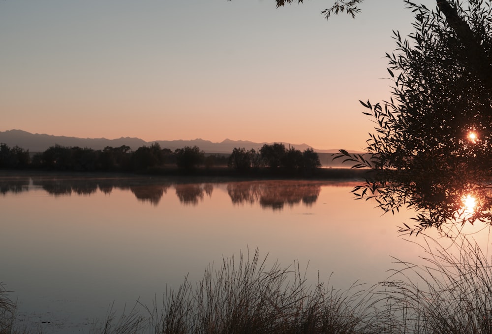 Specchio d'acqua