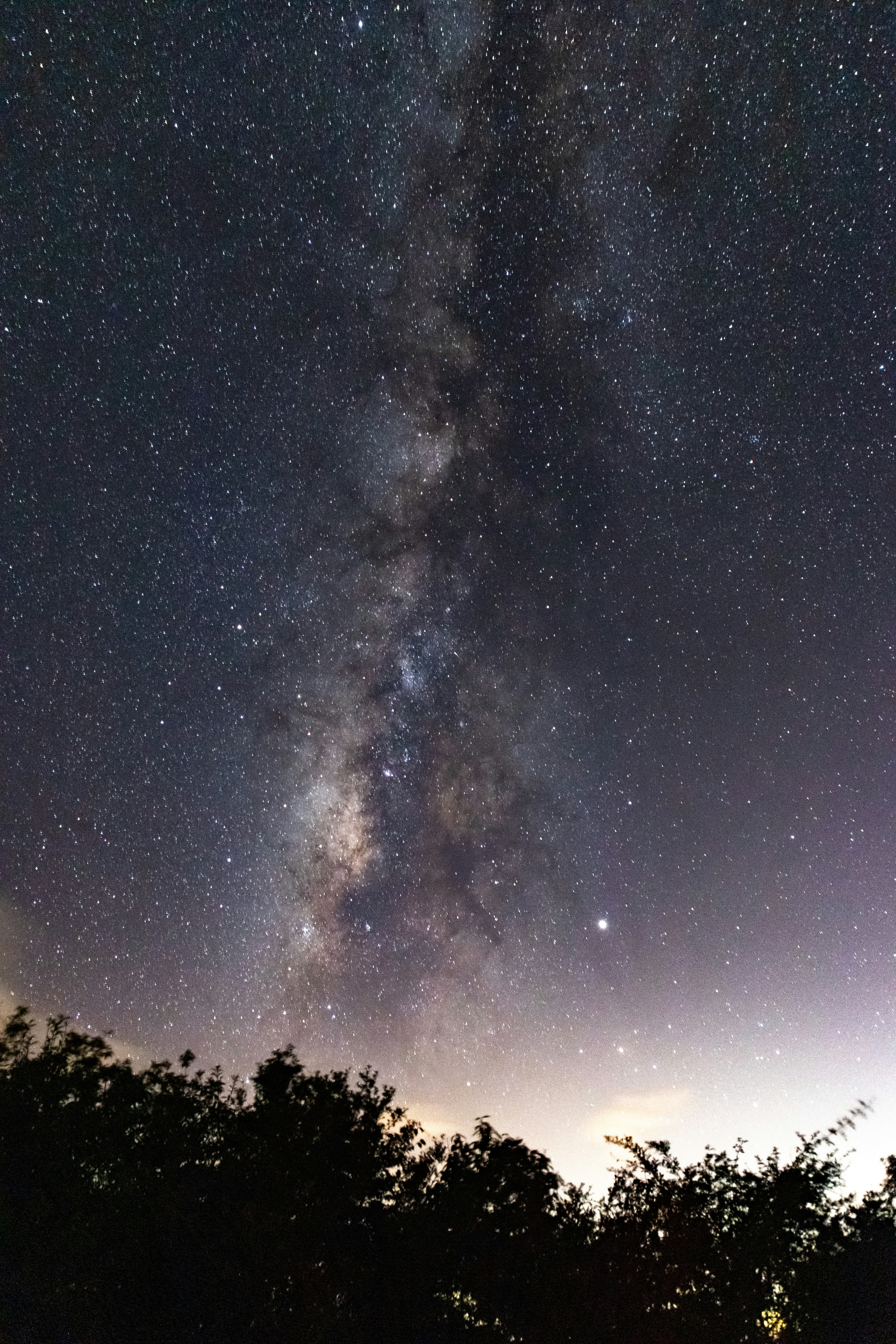the night sky is filled with stars and trees