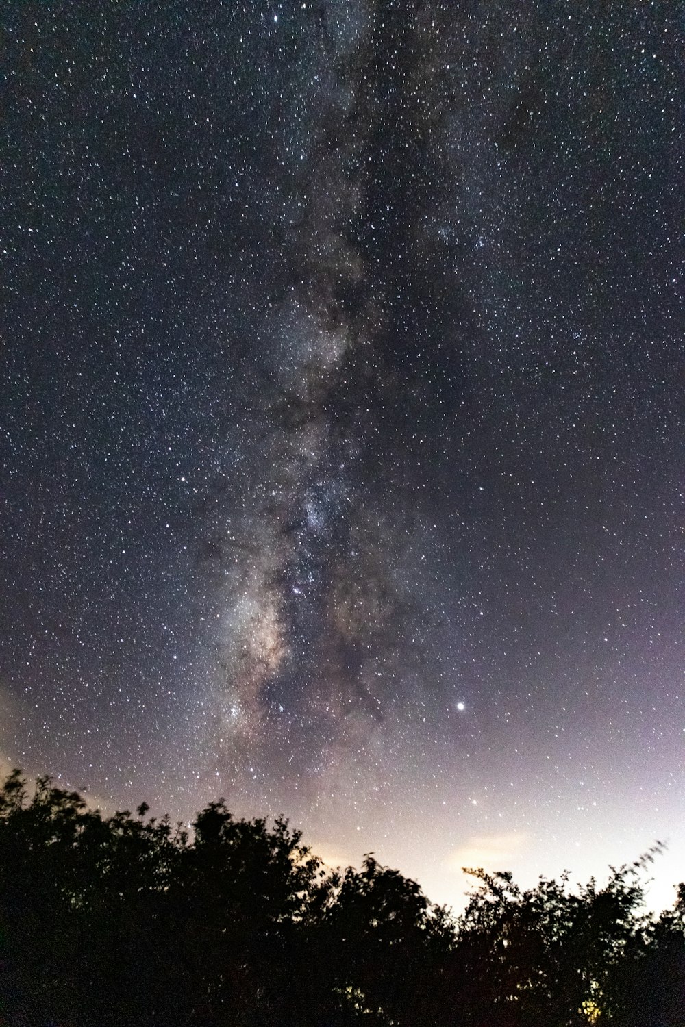 the night sky is filled with stars and trees