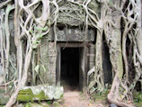 Ancient stone temple entrance framed by lush green trees.
