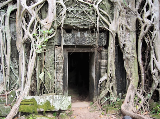 An old, eerie temple entrance shrouded in shadows and mist.