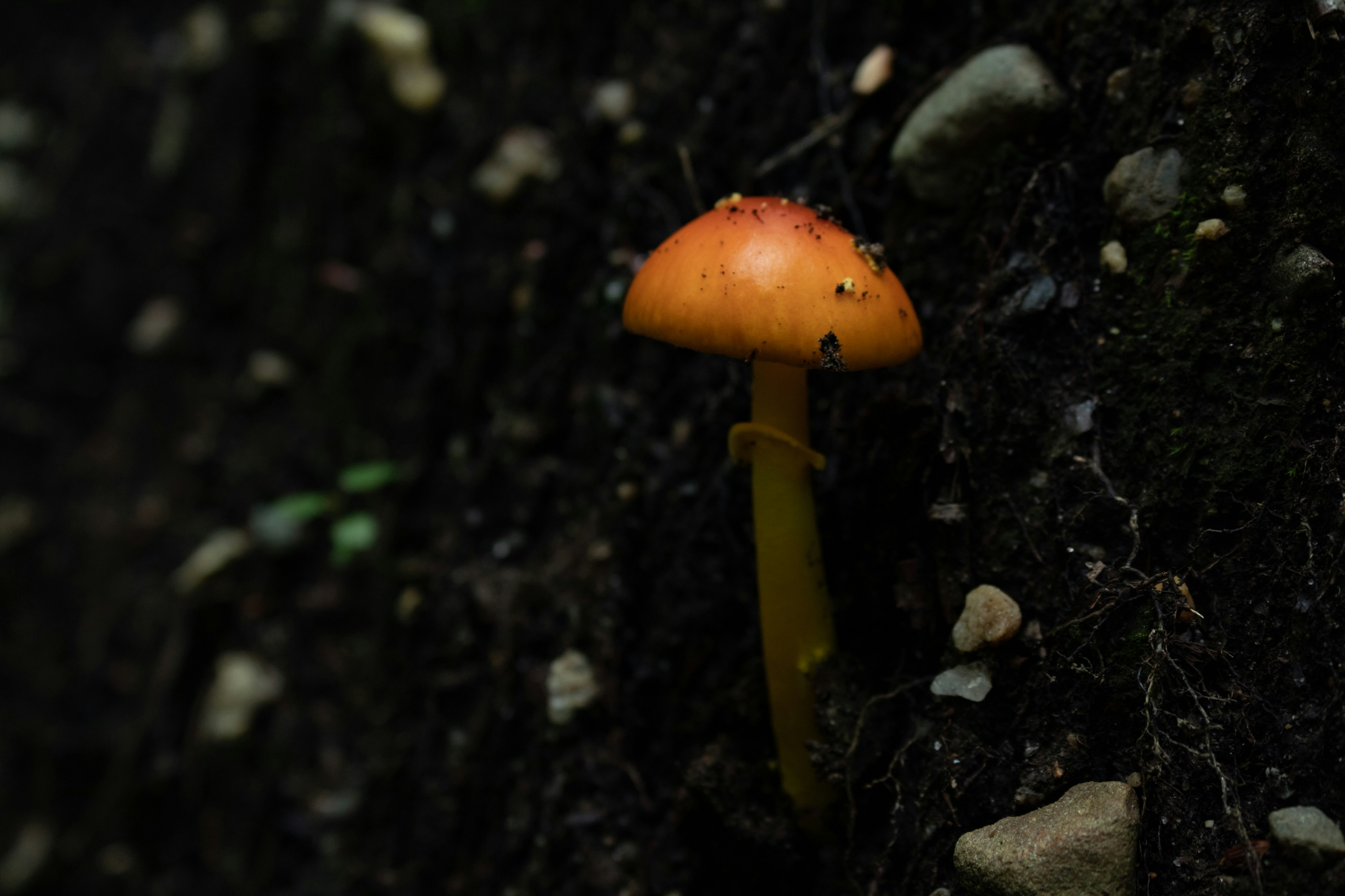 Photo by oliver_fetter