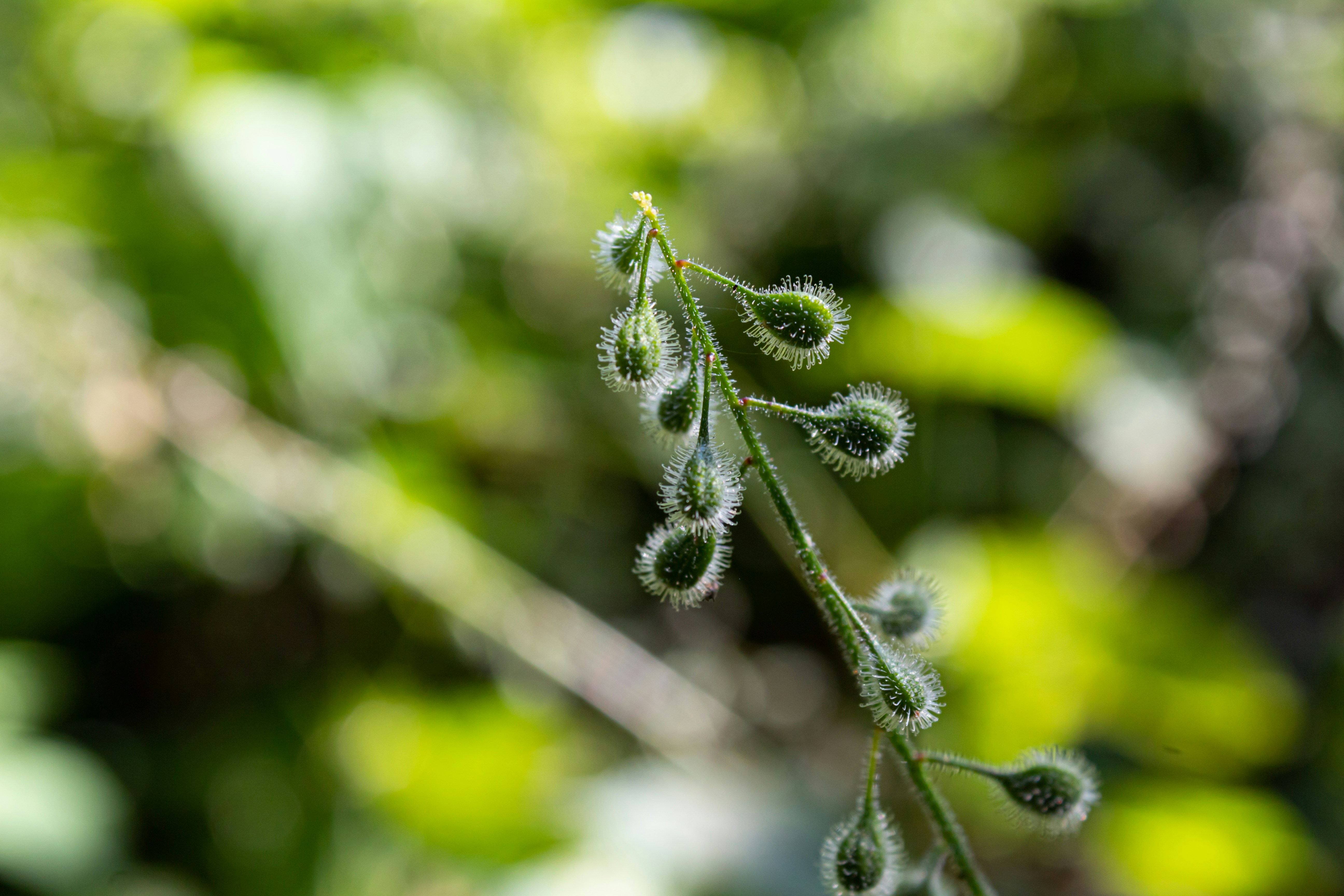 Photo by oliver_fetter