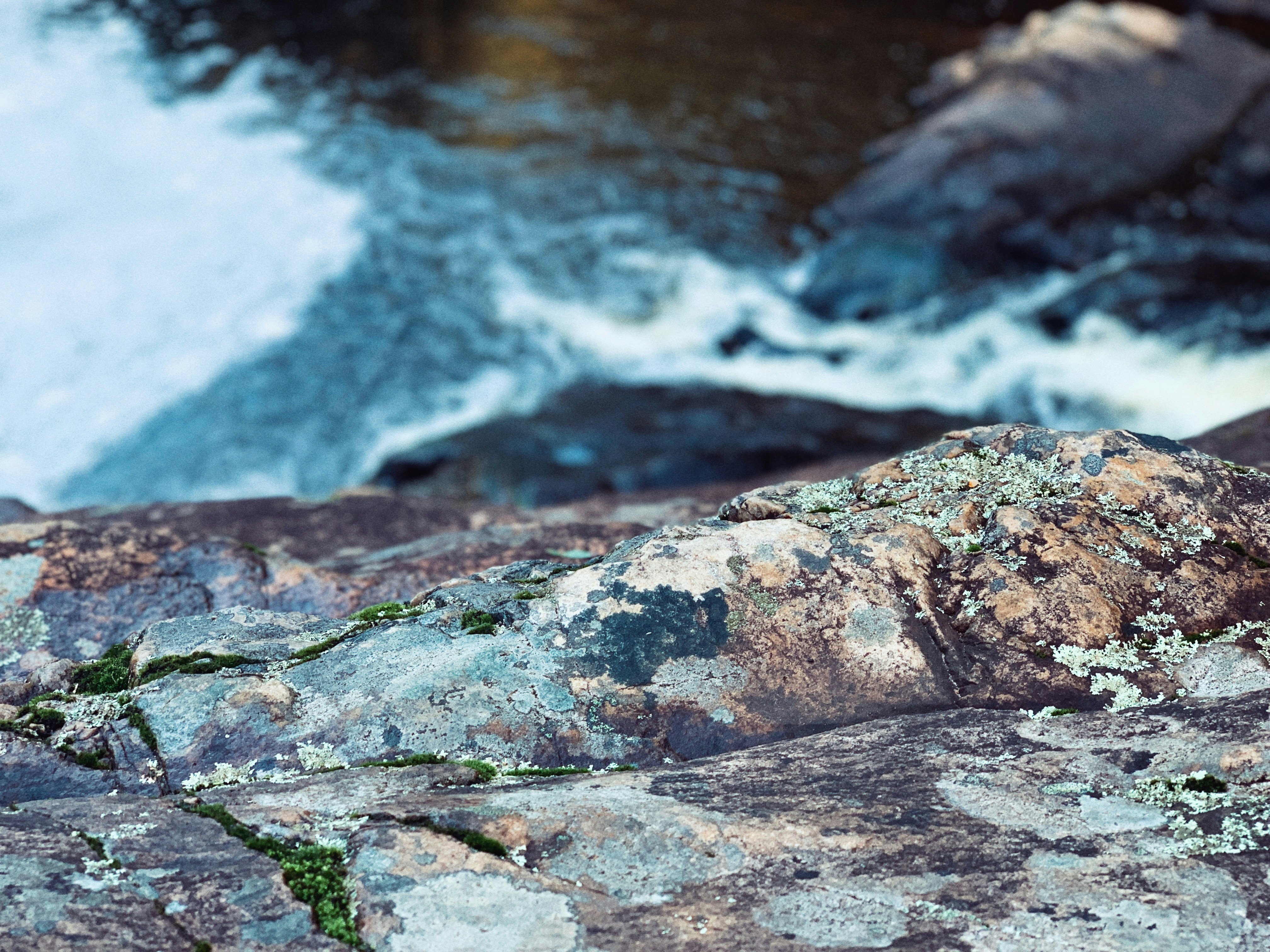 Photo by pablocabrona