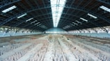 A large indoor archaeological excavation site housing a vast number of ancient clay statues, arranged in neat rows. The high ceiling, supported by a robust metal framework, allows ample natural light to illuminate the statues. A long walkway on the right side is occupied by visitors observing the scene.