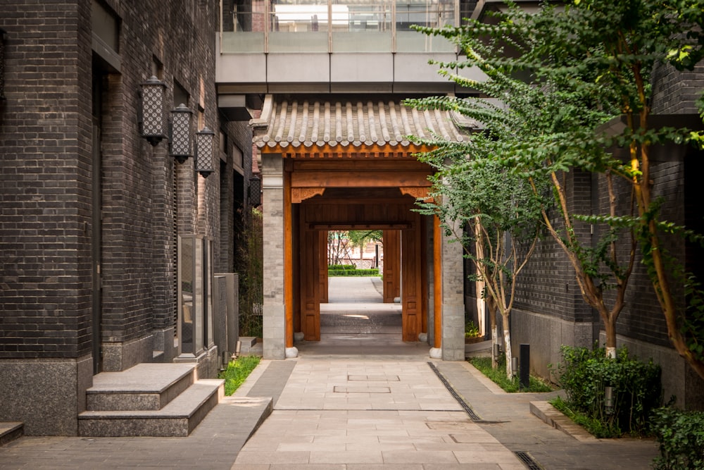 concrete pathway between trees and structures