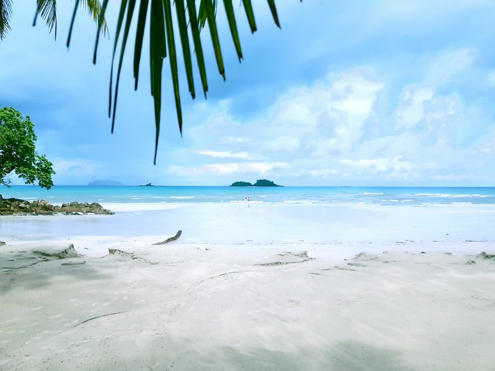 ocean under cloudy sky during daytime