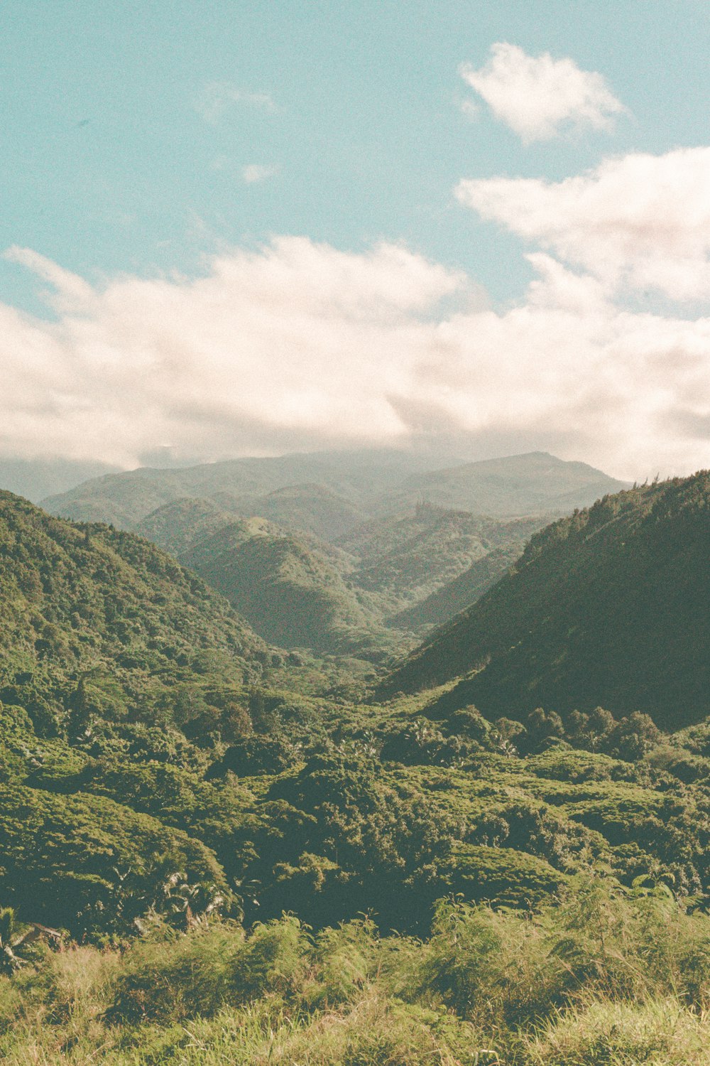 a view of a valley with mountains in the background