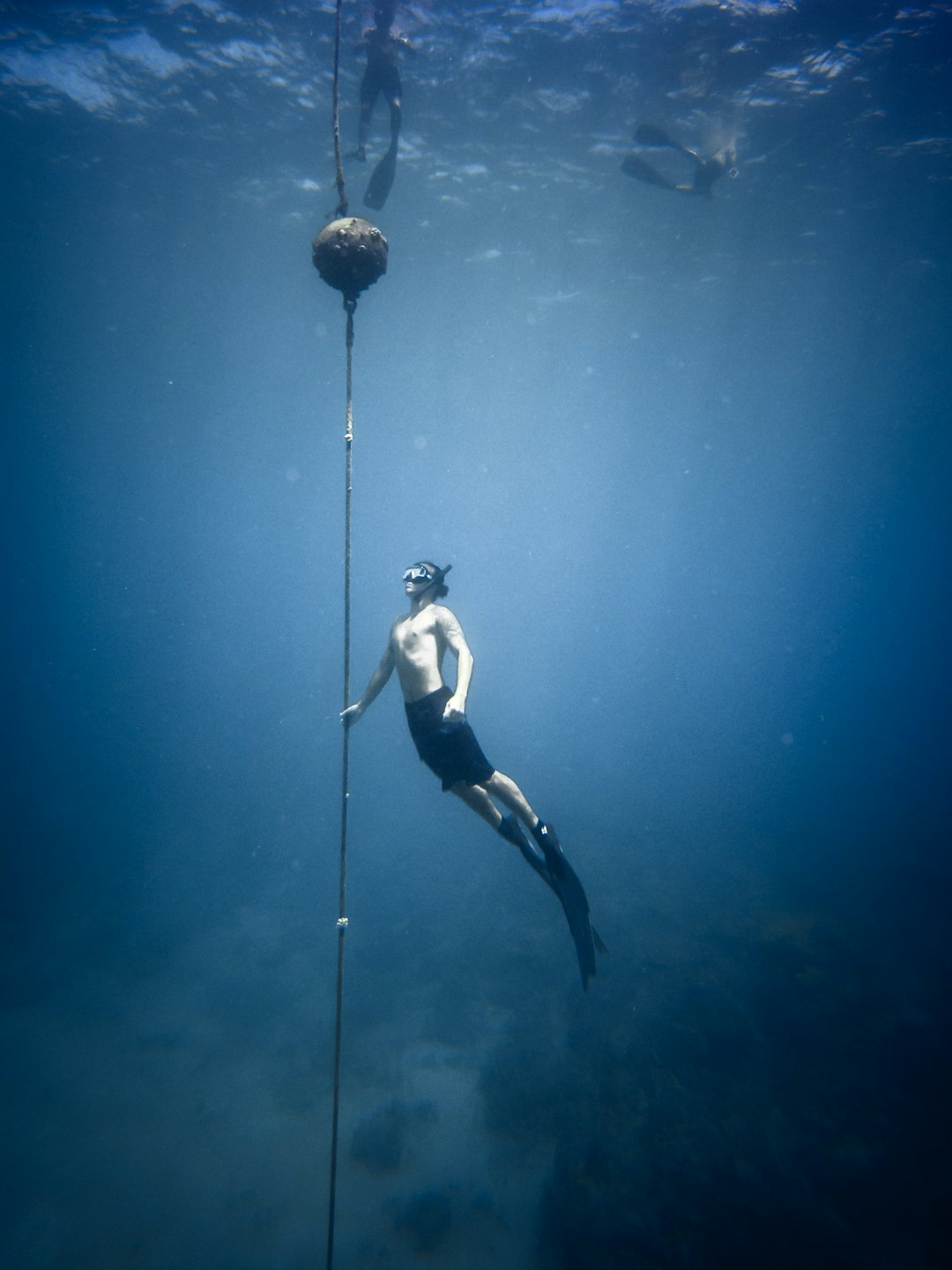 man wearing snorkeling gear swimming underwater