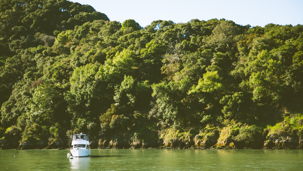 white yacht on body of water viewing trees during daytime