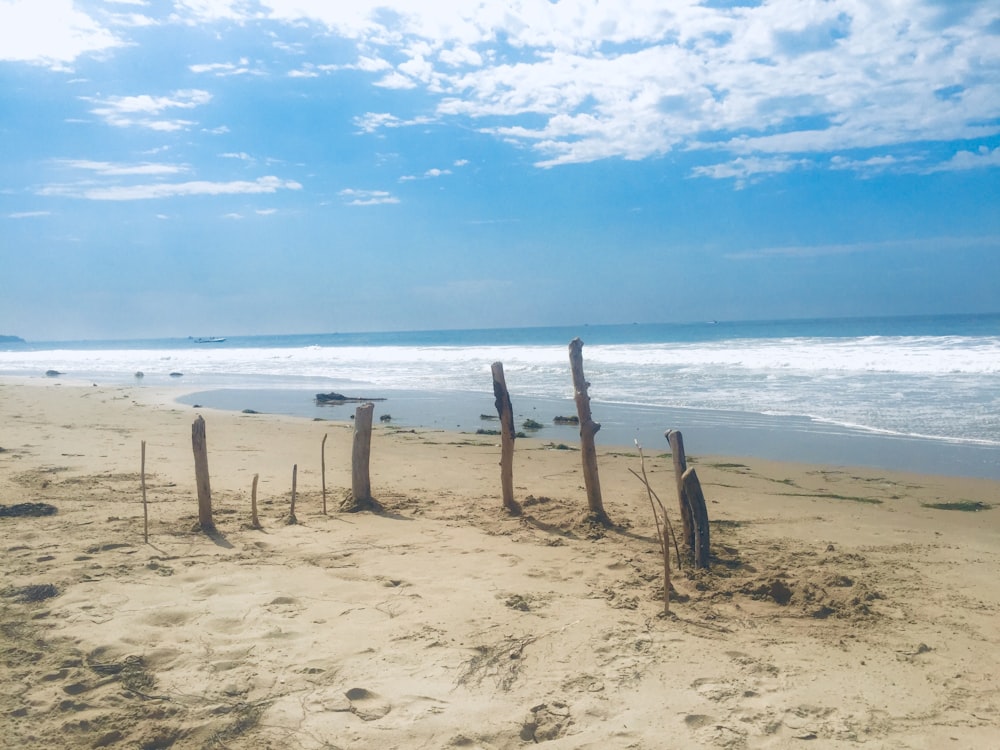 photography of seashore during daytime