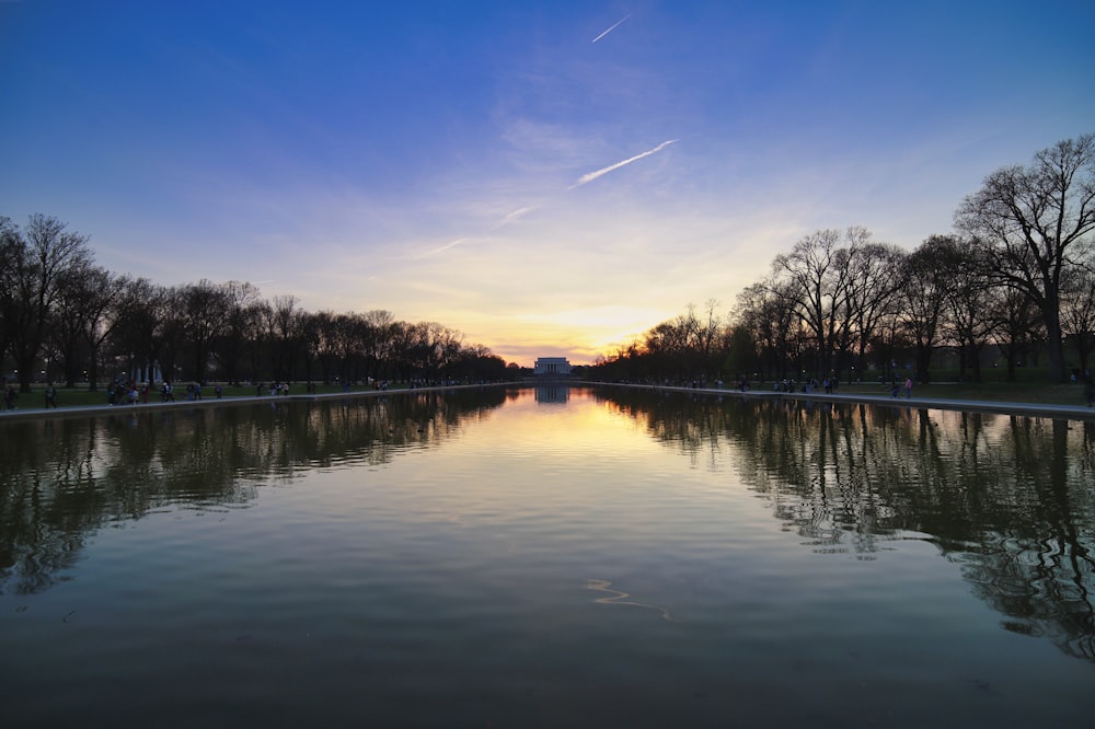 Plan d’eau entouré de grands arbres verts sous un ciel bleu et blanc pendant la journée