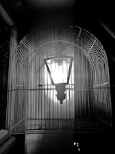 An open cage with a glowing light inside, representing the soul escaping confinement.