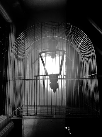 An open cage with a glowing light inside, representing the soul escaping confinement.