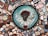 A colorful mosaic featuring a central circular piece with a three-dimensional face surrounded by vibrant tiles. The face has red-like adornments around the forehead and is set against a teal background with small geometric and floral patterns. The text 'REINA DE LA MANZANAS' is visible around the face. Surrounding the central circle are various irregularly shaped tiles in colors like blue, pink, brown, and white, creating a patchwork effect.