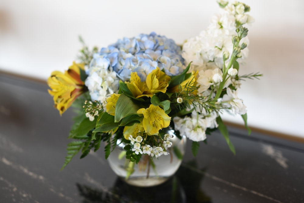 yellow and blue petaled flowers