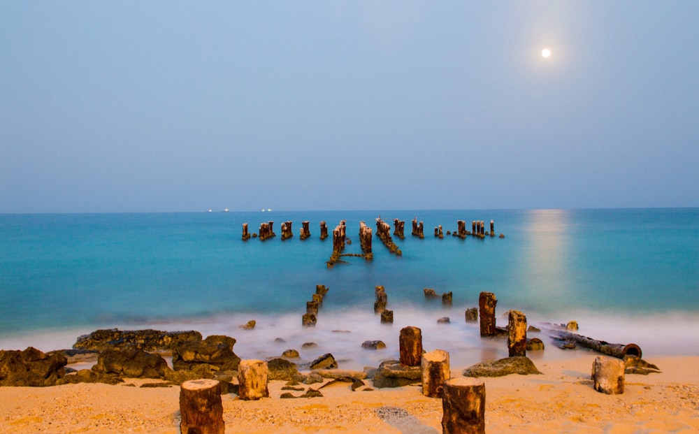 a full view of a beach with a full moon in the sky