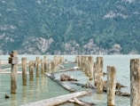 Old wooden pilings emerge from the calm waters of a lake bordered by a dense forest, with mountainous terrain in the background. Debris is scattered among the pilings, and the scene suggests a peaceful, remote setting.