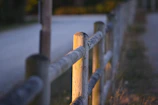 A close-up shot of a weathered wooden fence bathed in soft morning light.