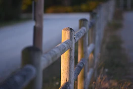 A rustic barn and wooden fence bathed in warm late afternoon sunlight.
