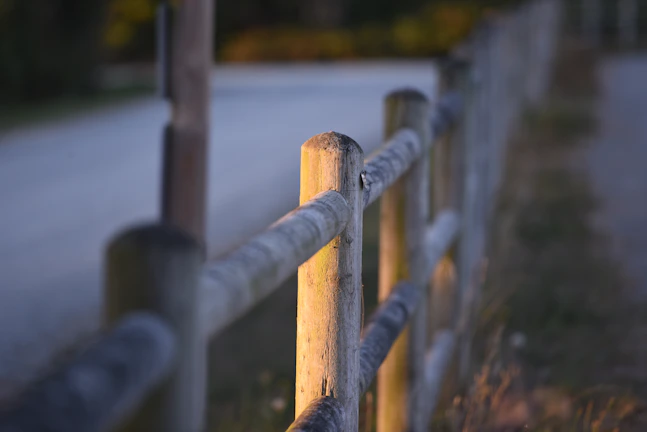 A close-up shot of a weathered wooden fence bathed in soft morning light.