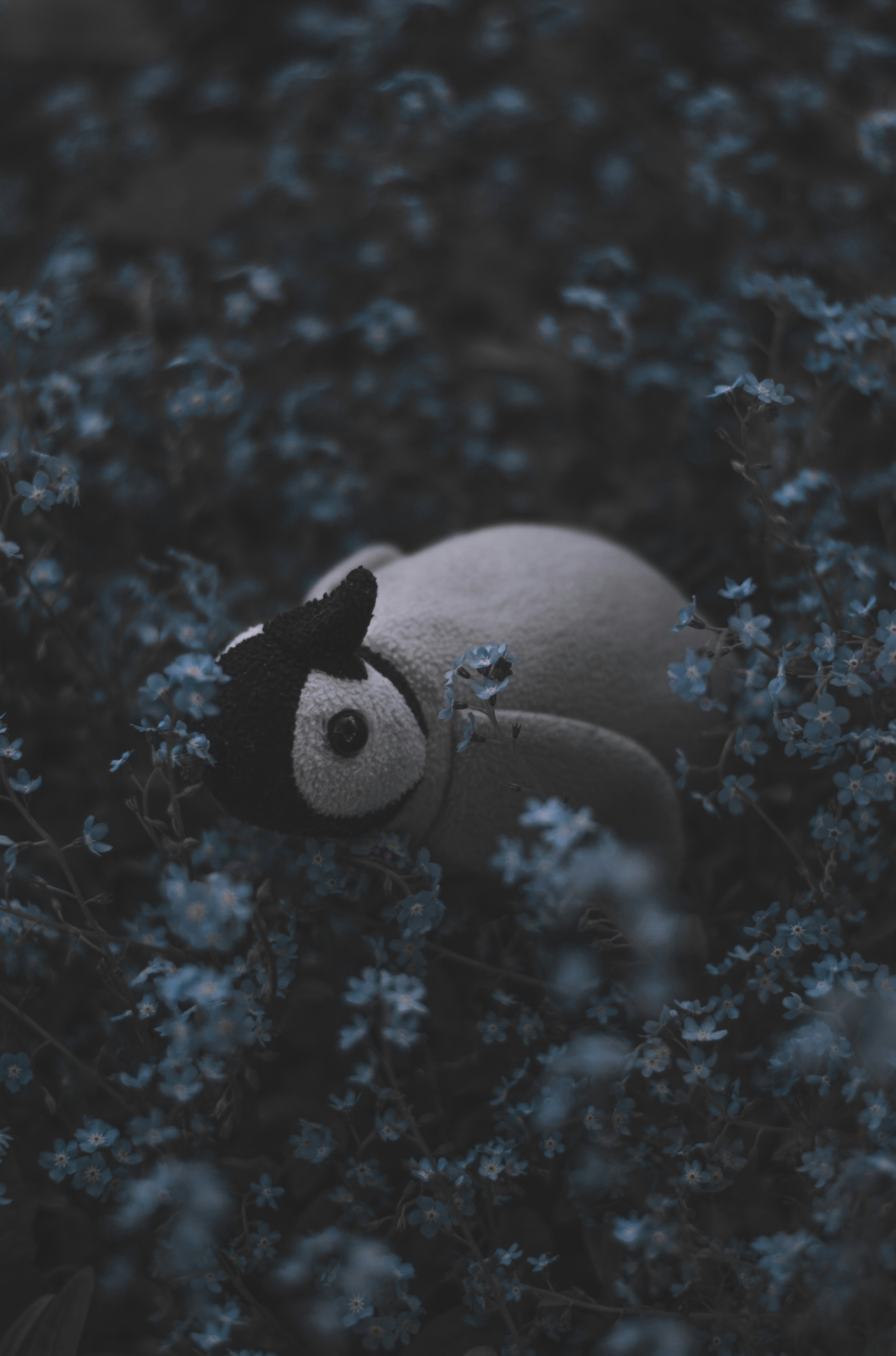 white penguin plush toy