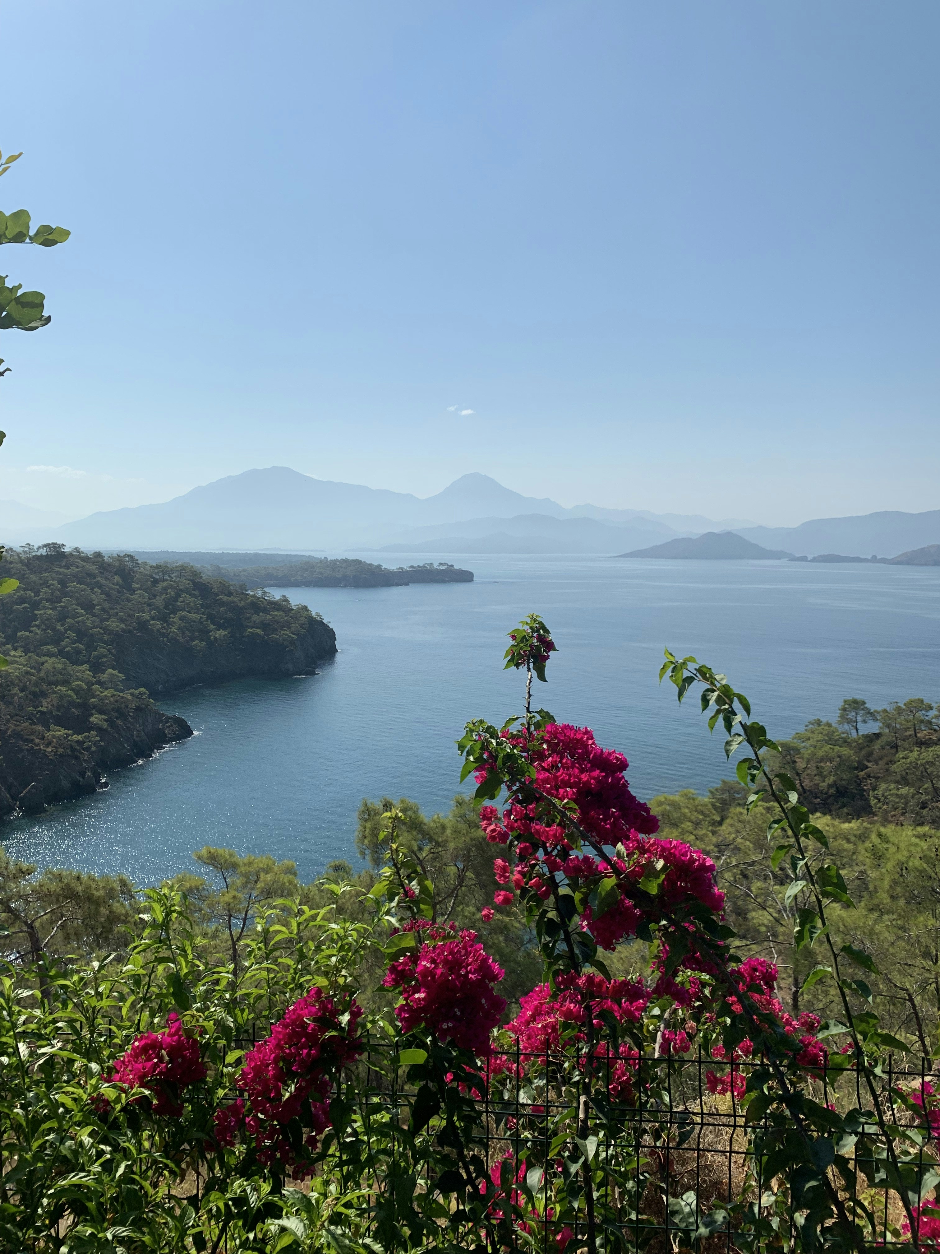 Photo by mahmutaysan