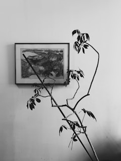 A minimalist framed archival print of an abstract black and white landscape hanging on a white wall.