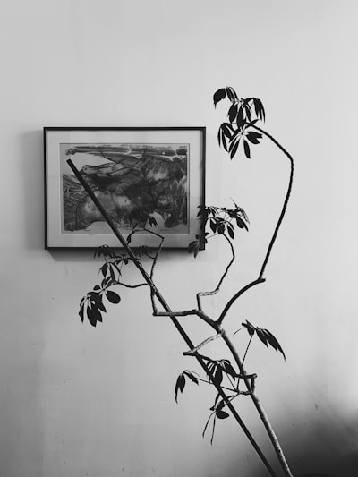 A minimalist framed archival print of an abstract black and white landscape hanging on a white wall.