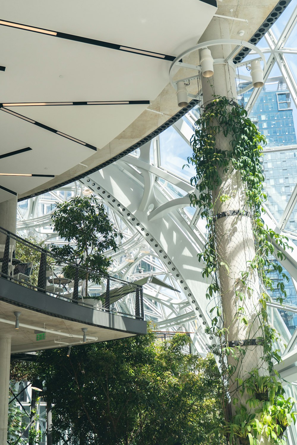 plants on building interior pillar near balcony