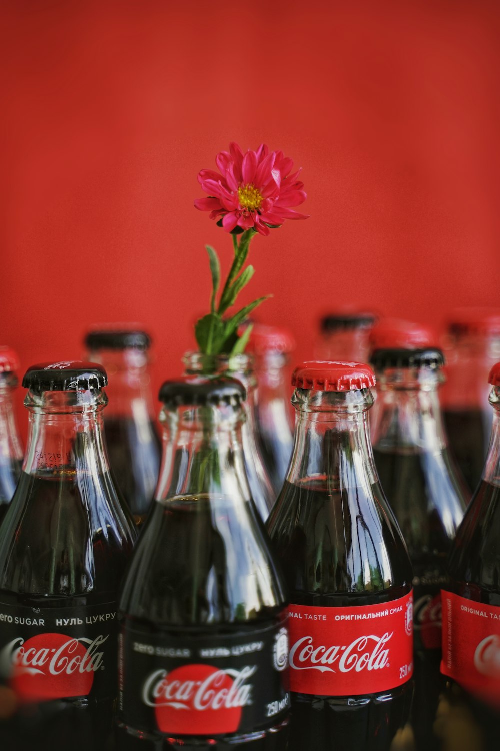 Coca-Cola bottle lot