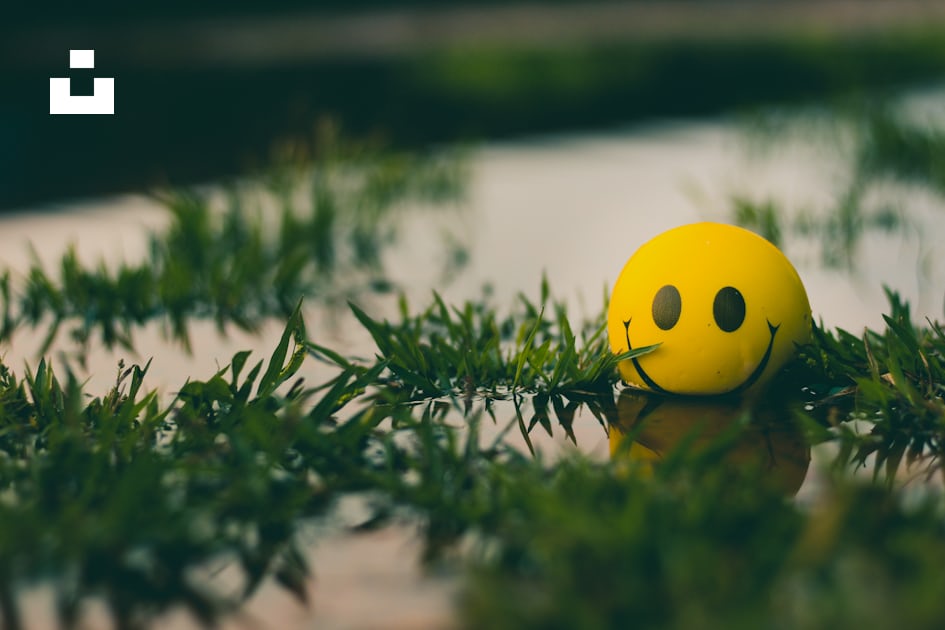 Free Enthusiasm Image on Unsplash