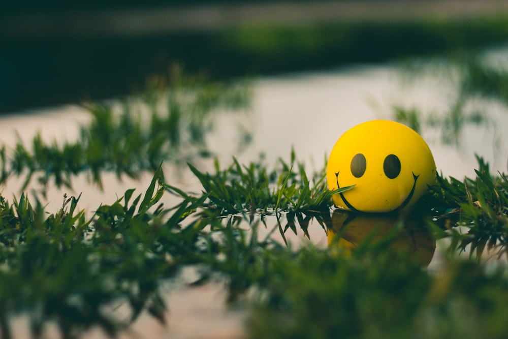 una palla gialla con una faccina sorridente seduta nell'erba
