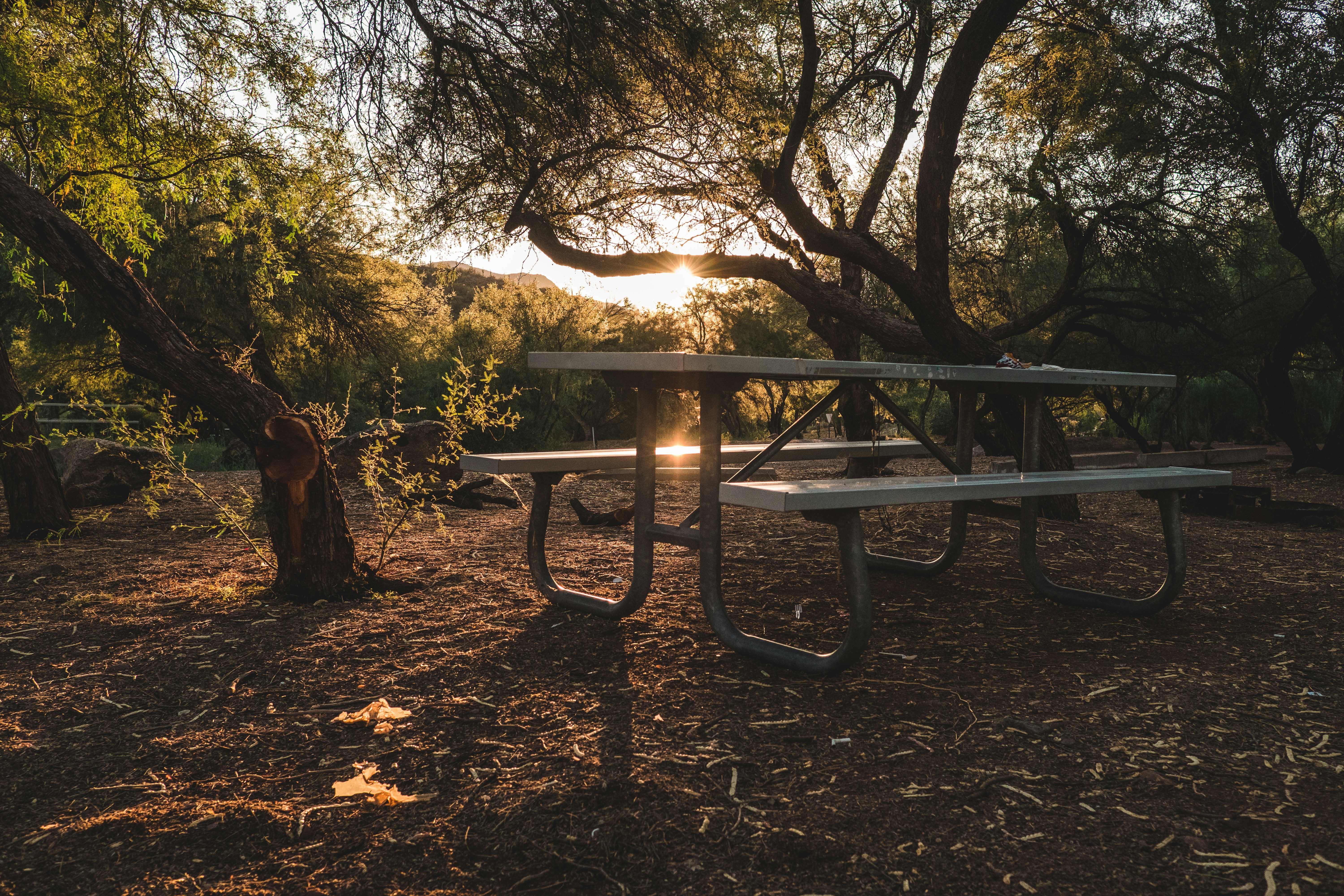 brown wooden picnic table