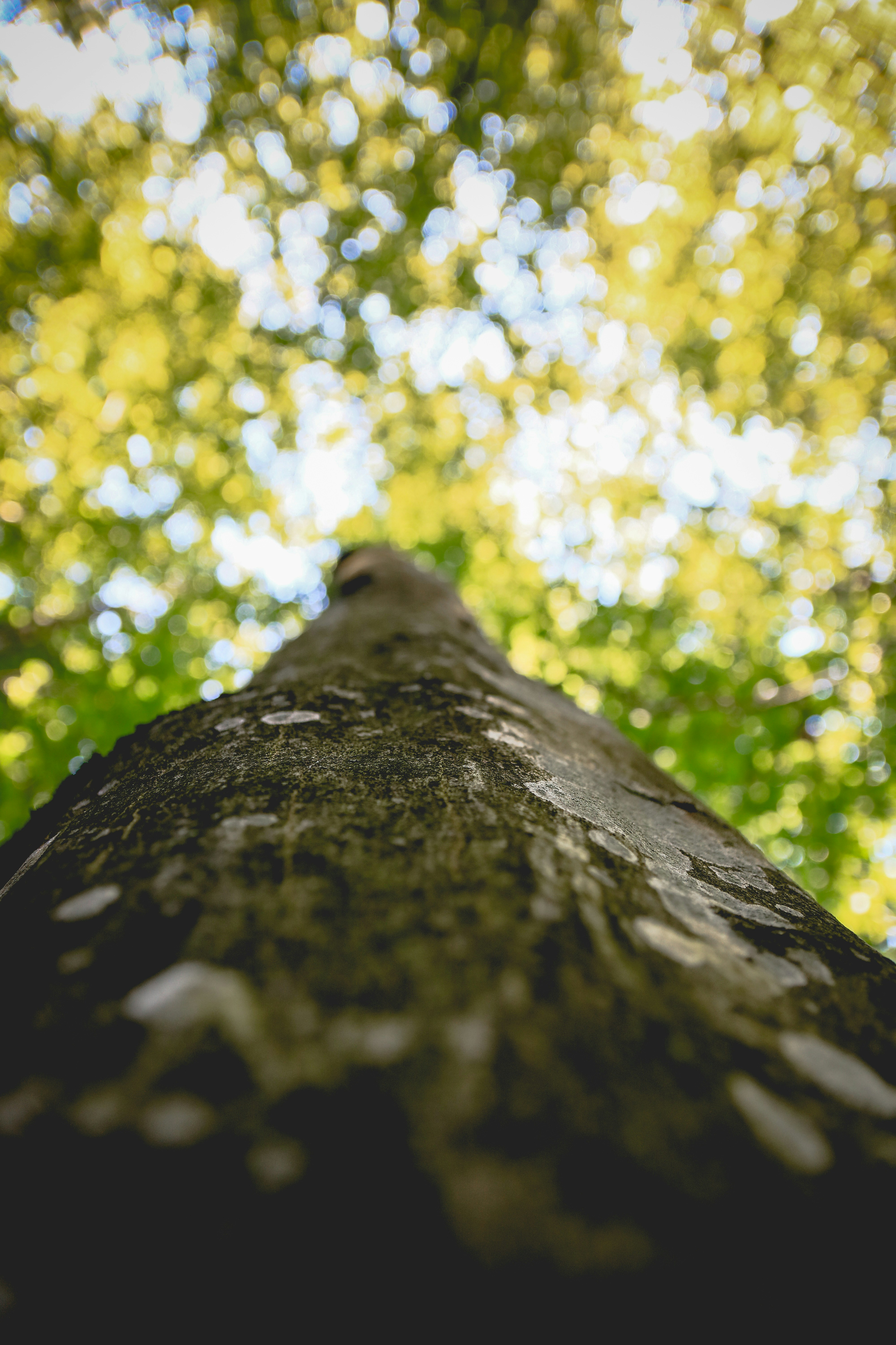 Photo by ovidiugruescu